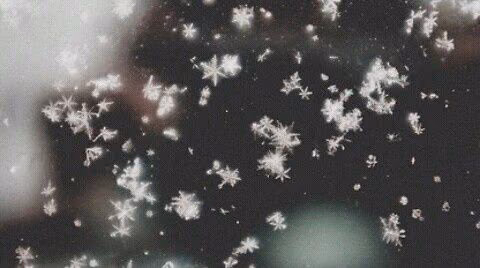 61821a5cc578c931b43b0f05f3d5af75.avif