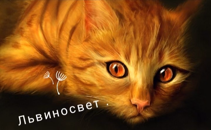 618a0a831ba758b430a7db0dd75fc482.avif