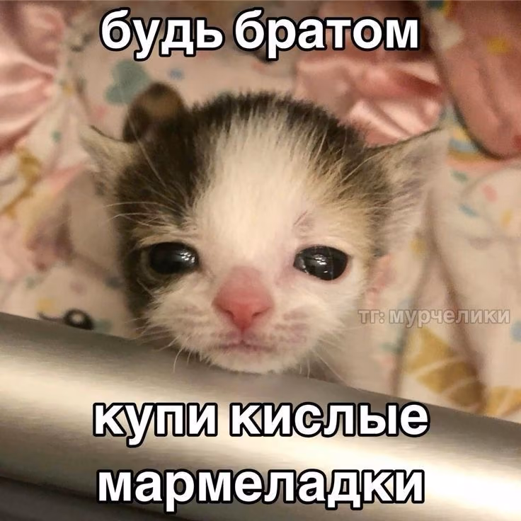 61979f9869972108f0ef41fa35edf9bc.avif