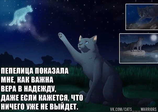 61a18ffd780c829d5a71f048a3d6e4c2.avif