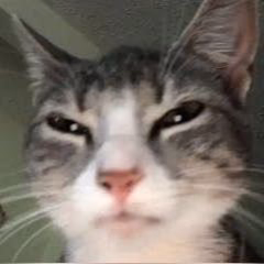 61a2f2e760debd0209adcdc9f3f082db.avif