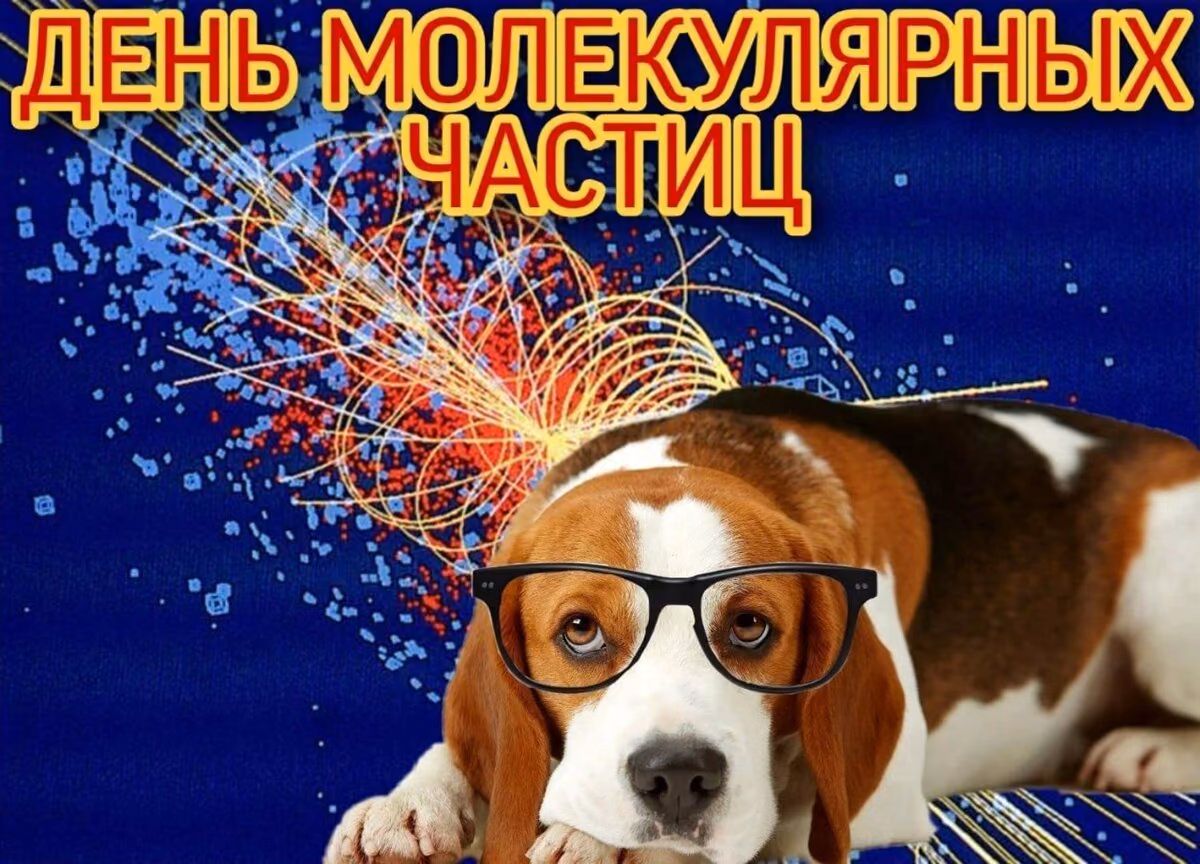 61a40beeeffedc4c5a324fd9e40bd672.jpg