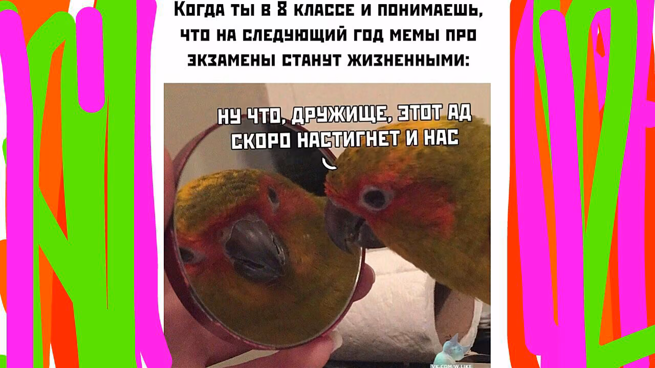 61a9f35bb5d411c846a7279a1d0c2830.avif