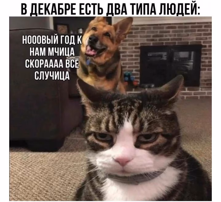 61c0612c4fd1b99479467d46d267c260.jpg