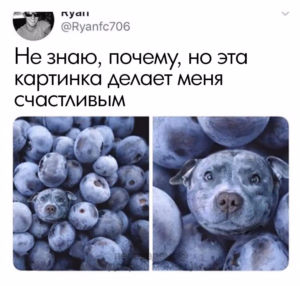 61cc898a4b2c423adc2efc3182f652df.avif