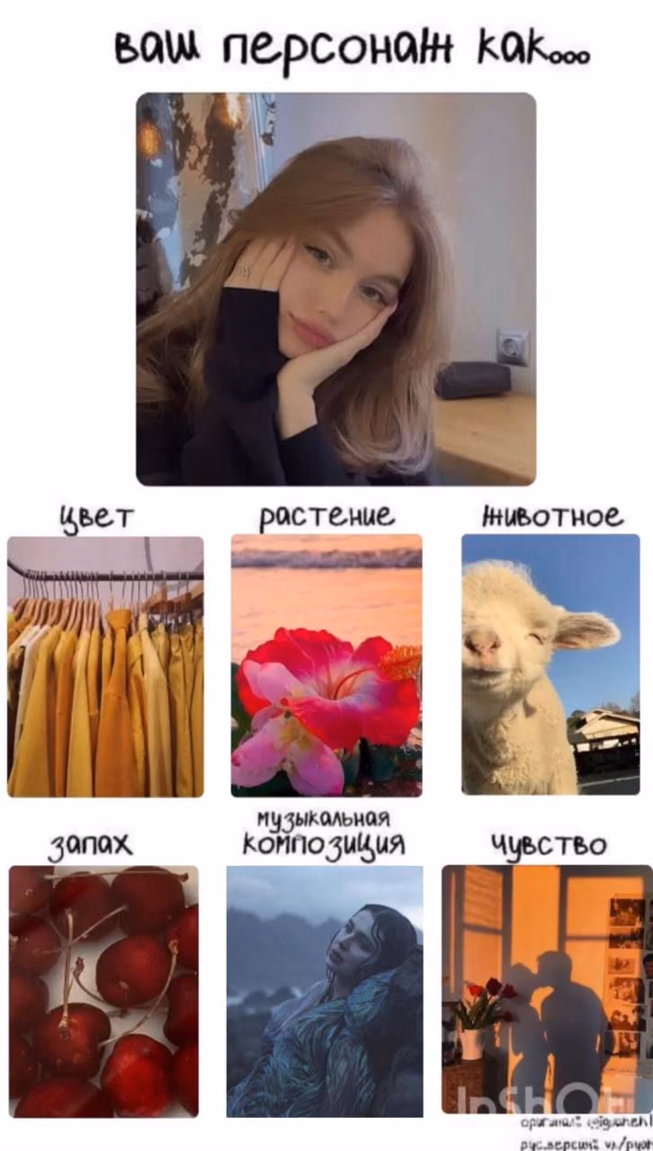 61d40d383835170f7ea535b2a224538d.avif