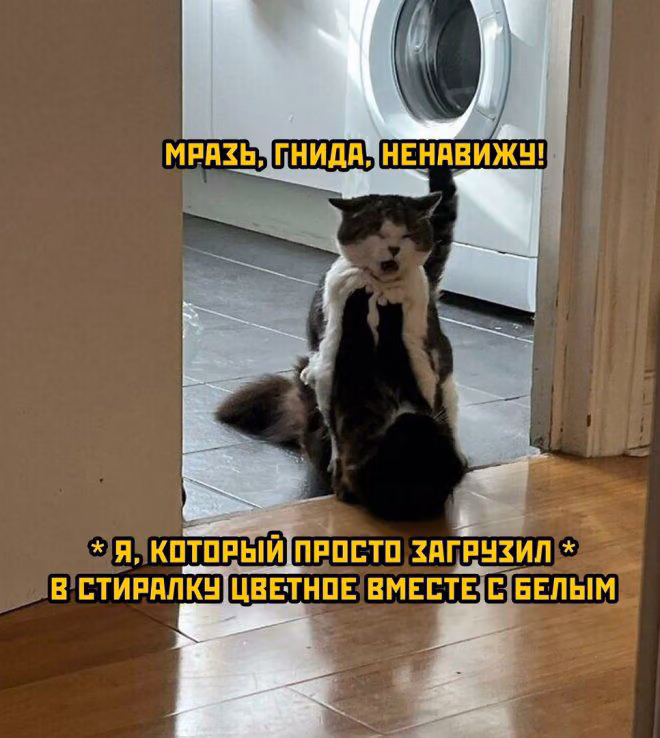 61eef55668789e238bc1055b38c4bd36.jpg