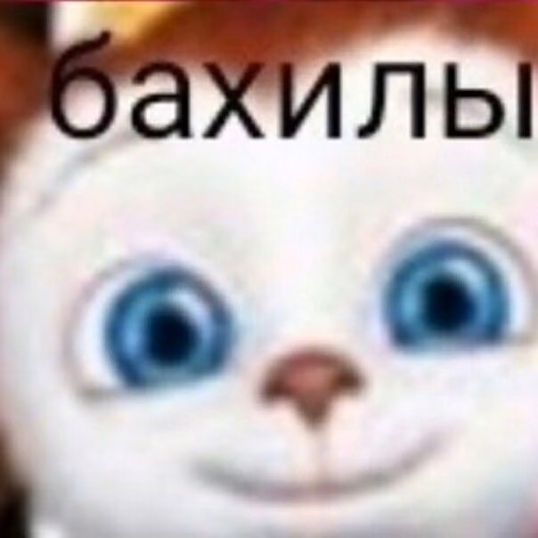 61f0c451c110f857a4ac33eabb976445.jpg
