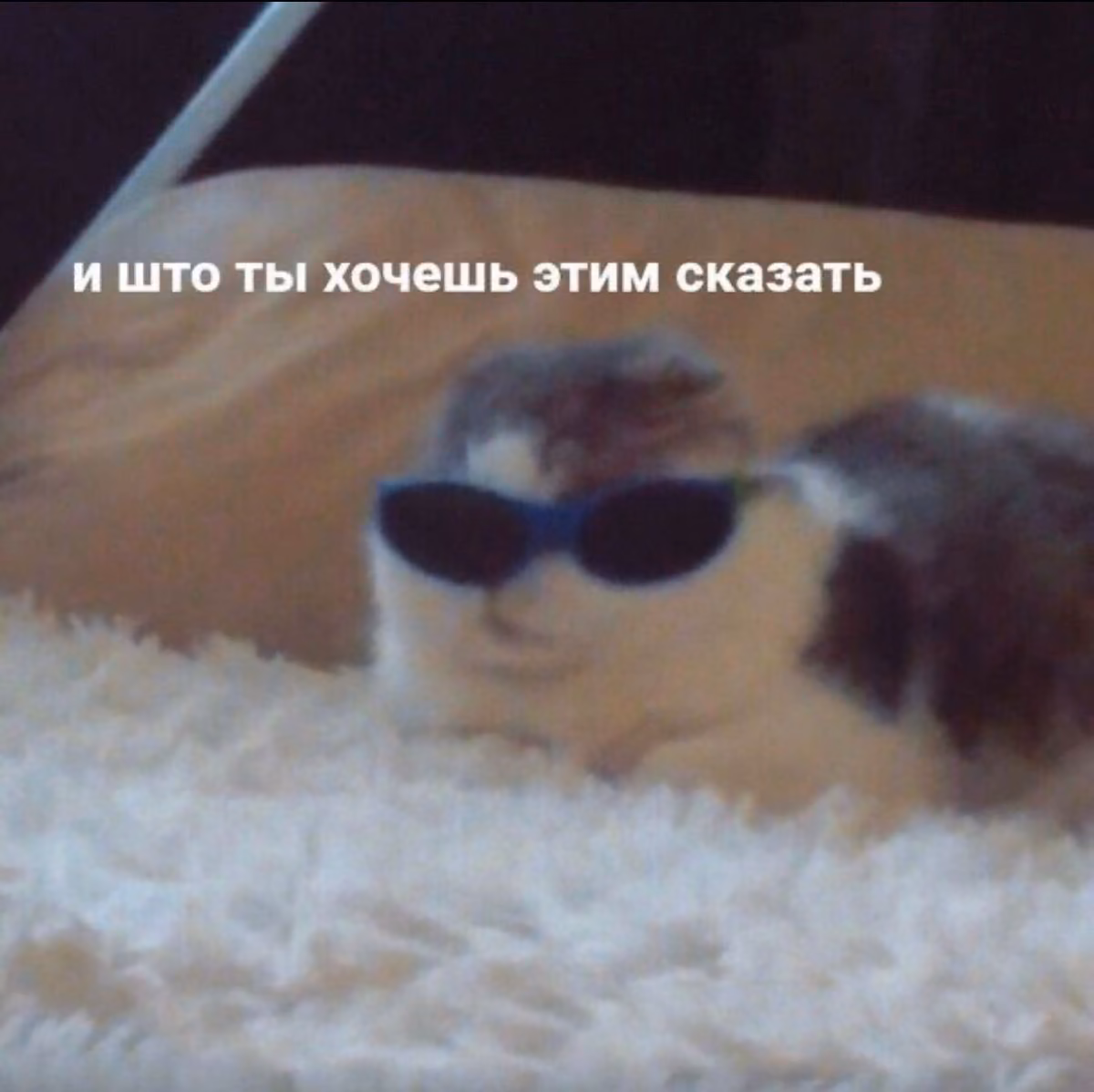 61f77eeb753c67dee76fd0c047ddbd17.jpg