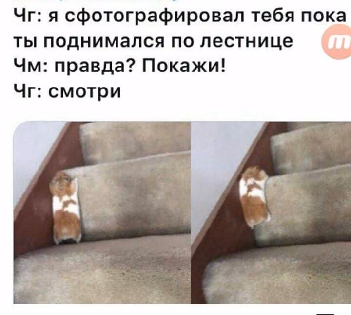 61f94a704e2d77a3855a15bd4597fb33.jpg