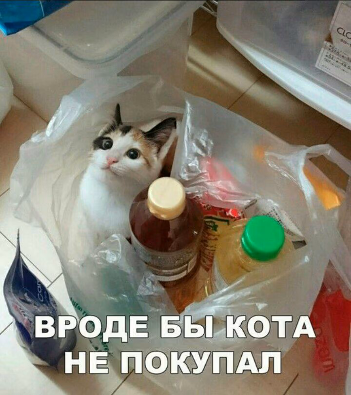 6215f024995cc138e154d9661d2891f3.avif