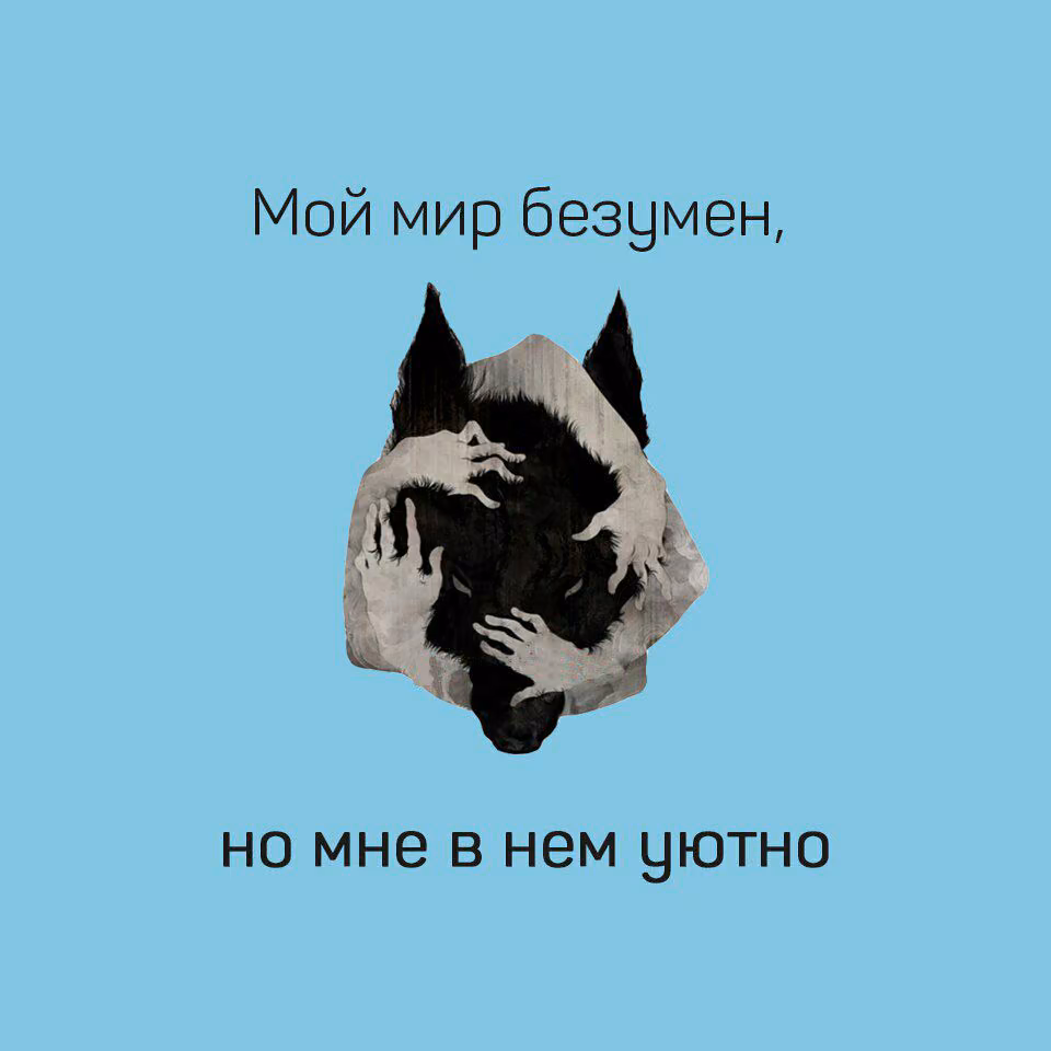 621a8e2066f8bc67cc6e478d0902a6c8.avif