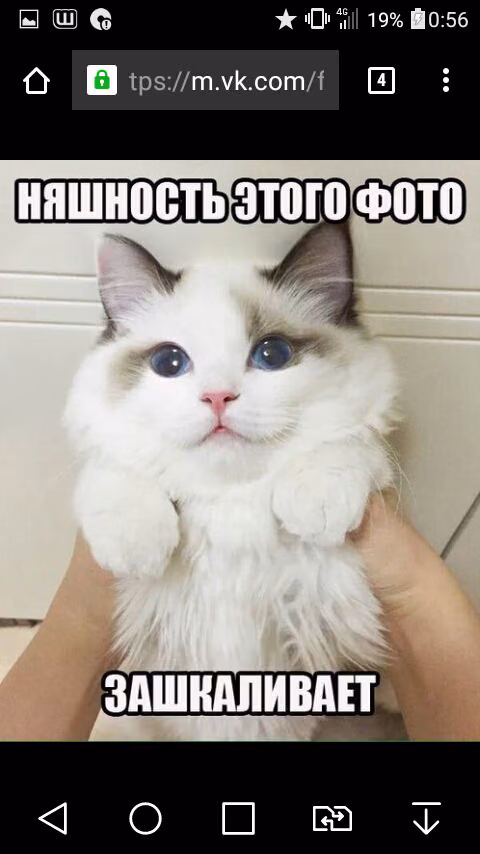 6232339b8e0e6a50c34ce2740395961c.jpg