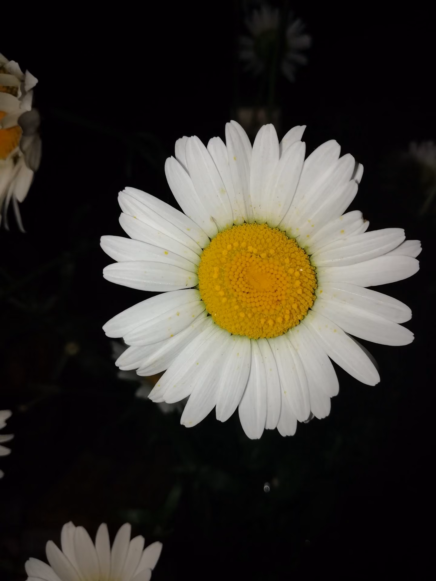 623f85fb21dfdb064e587d2c7dd4d0c1.avif