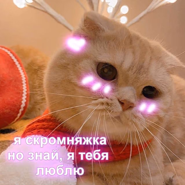62412b19b7e86377cfb8bfa15bea9573.jpg