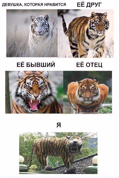 624ba2a96c36747d1a975424c2dd80a0.avif