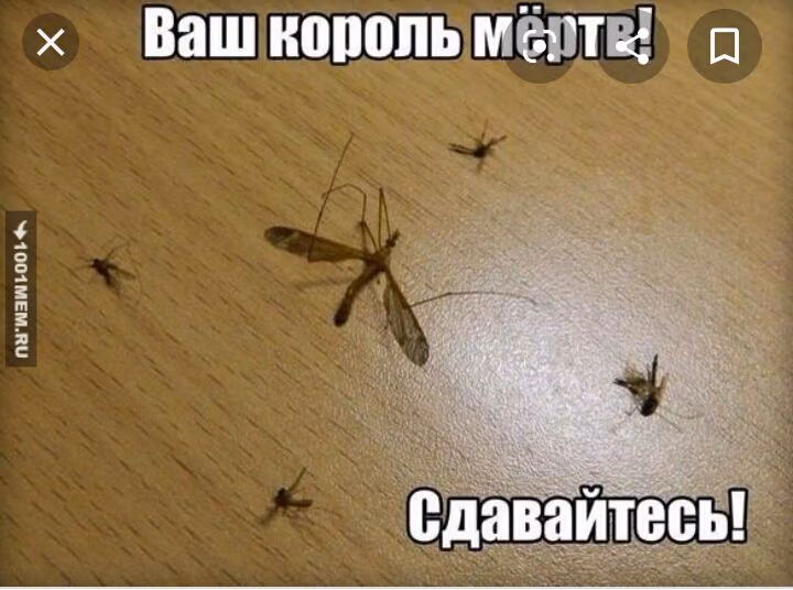 624f73df025111a78f8865227b81aafd.jpg