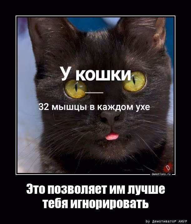 6258fee384cc9e6ff4d7daba19634fe5.jpg