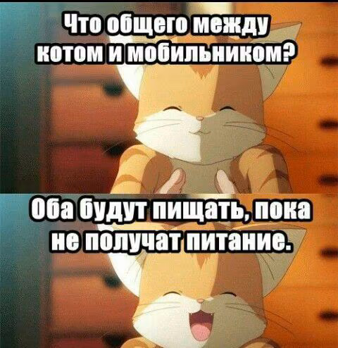 6263eac9bb6e143193b8385401a1add3.jpg