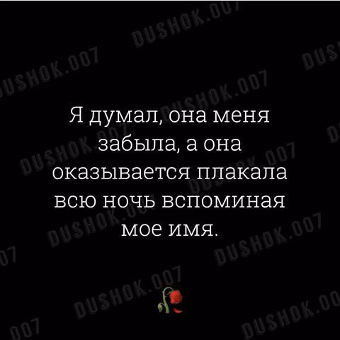62886c14d70455ed67cd195ba81ad948.jpg