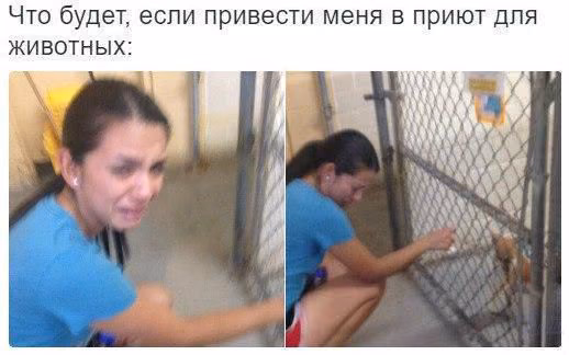 629db87c4232ccb9aca2dbc61328186c.avif