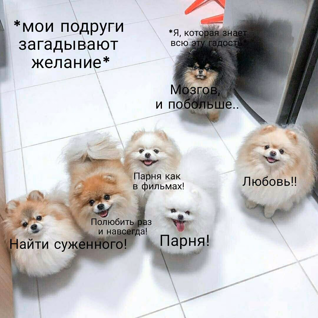 62aea534881e3271719b0690e0ceb617.jpg