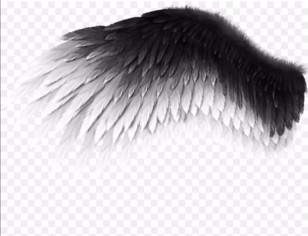 62b4d53db963b54d6e41f06b0f91d289.avif