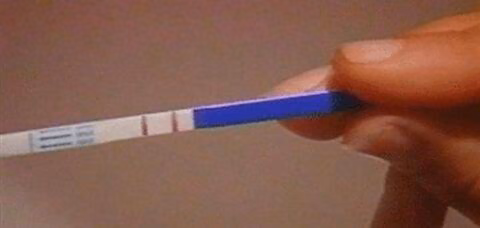 62d19a129f3ee09341b09af974204cb0.jpg