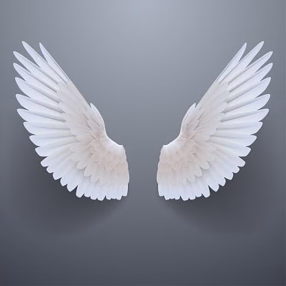 62d961334913dece7bd589c560098493.avif
