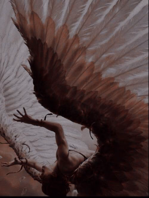 62e90b46a14a53e431b00972fa04d8af.avif