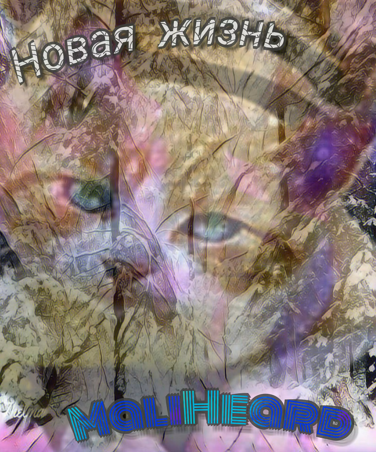 62f03eb2357a239c04a99d08cadbf986.avif