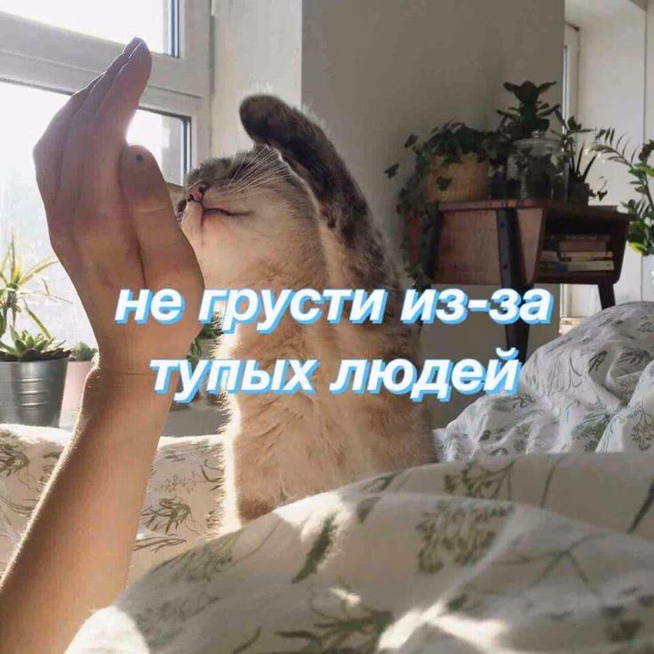 62f6153bc59607ae593f90a355a8b63a.jpg