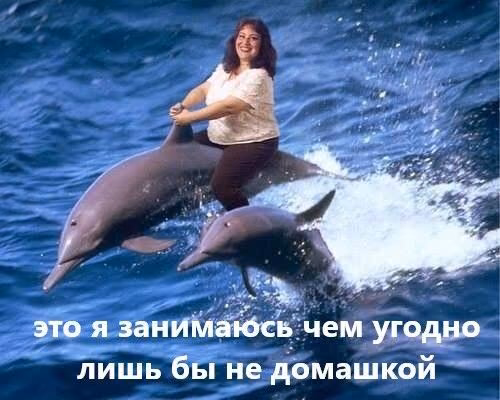 630178c37182a683e5cbeb30548a118d.avif