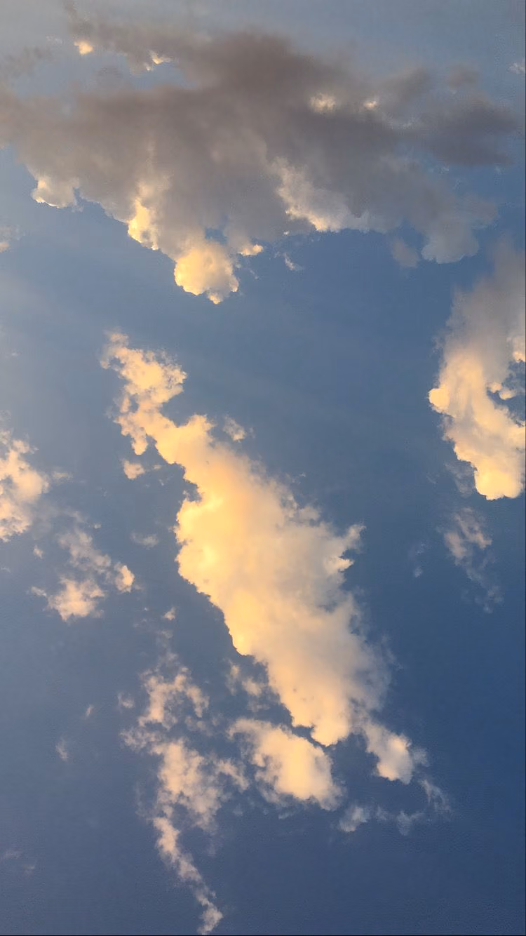 631c6d1502665f1f067b649c215932c7.avif