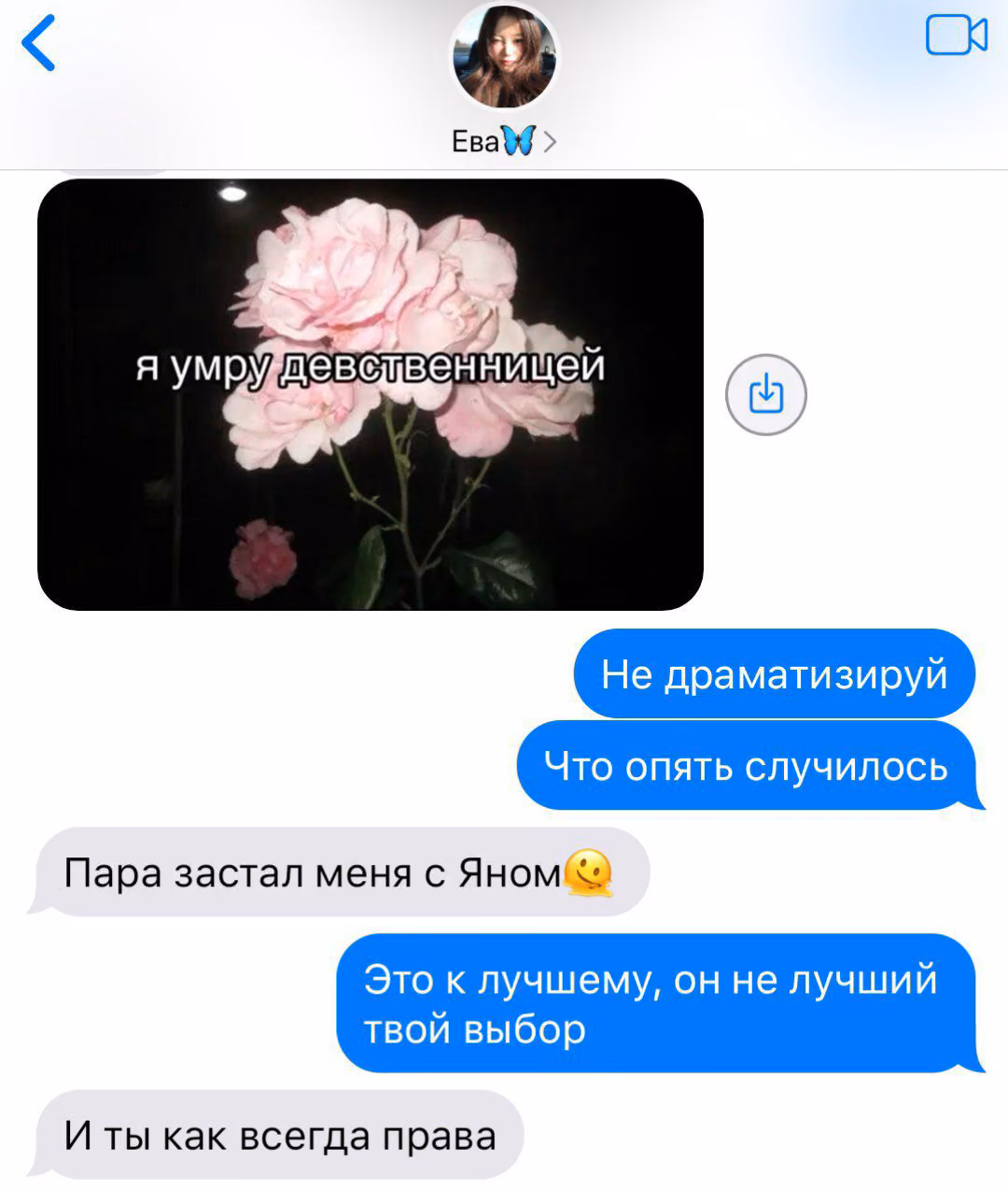 63288c9e696d77734ed250683e2d412a.avif
