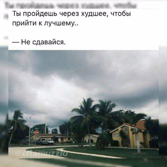 63298b03a952fa91dbf272e616953a77.jpg