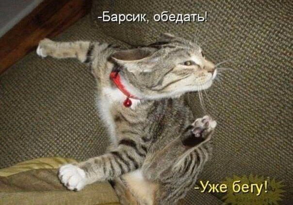 632d7161bf77d6a5d02c94029e0e1d17.avif