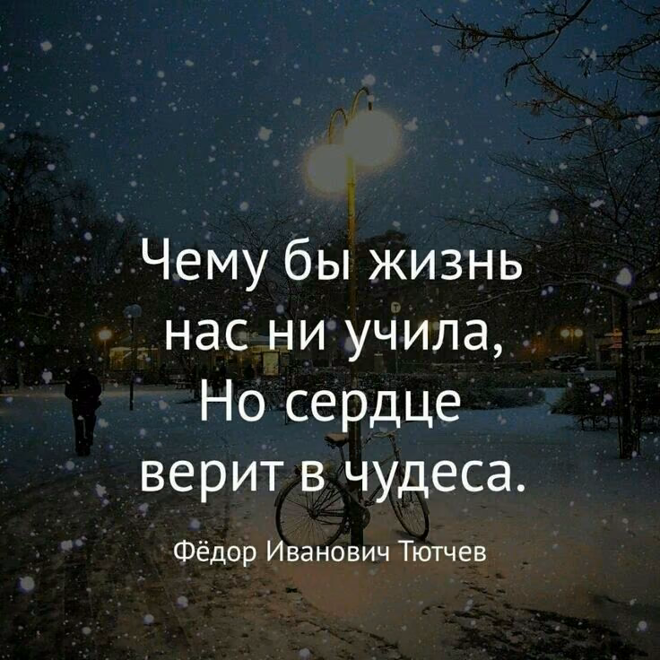 633621386fff3e9e43956127906921c4.jpg
