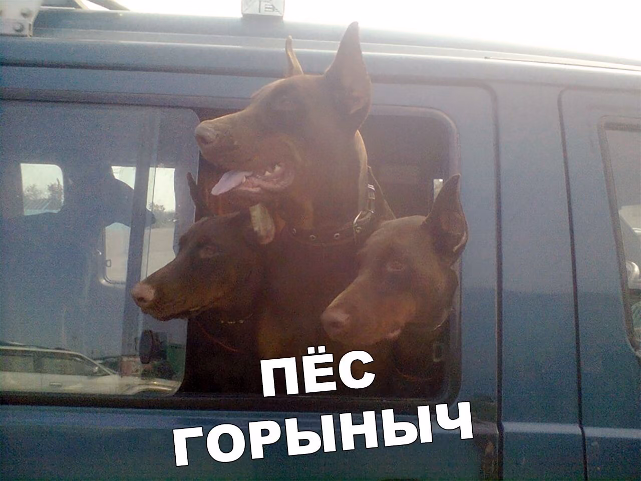 6350a120b5ac8702dd14c77161e59f3b.jpg