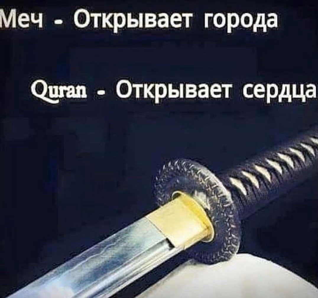 6359da874330946c10970475e0d399d5.jpg