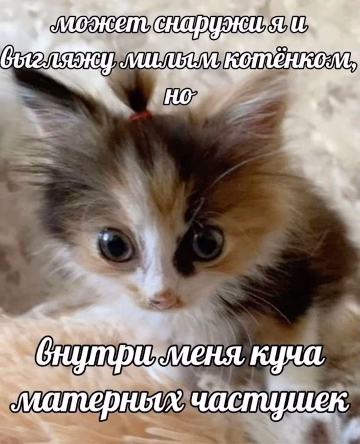 637292d2db21ff9430b1ae678e45ffcd.jpg