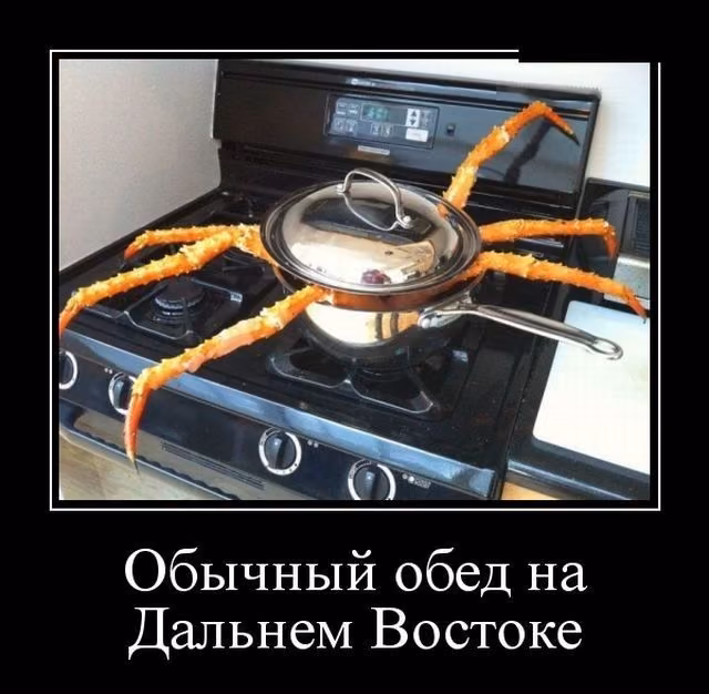 637f73cbc8b385e53ecc2b585d47dafa.avif