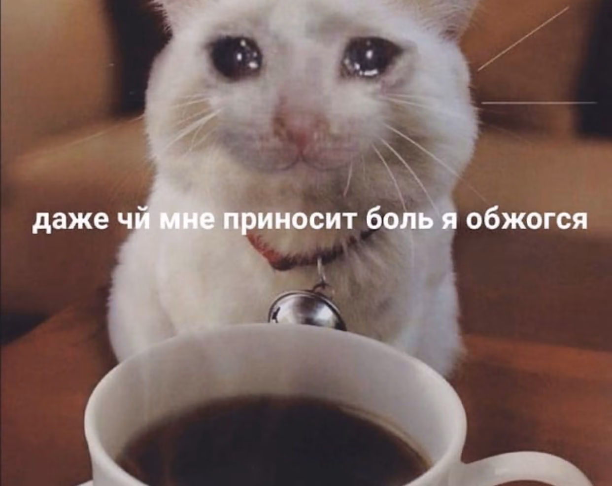 638240ac671093efeb8d42e8961b07cb.jpg