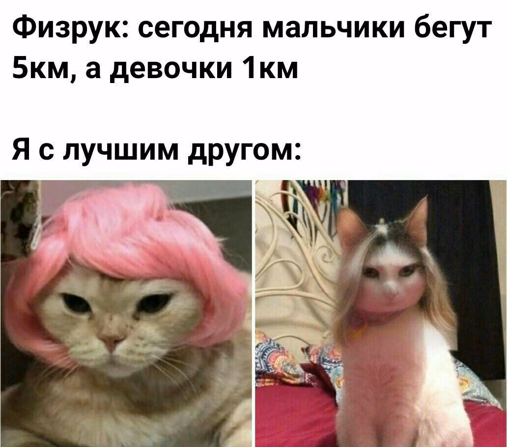 63a219b13cf0c27d787a25c91ec59ce6.jpg