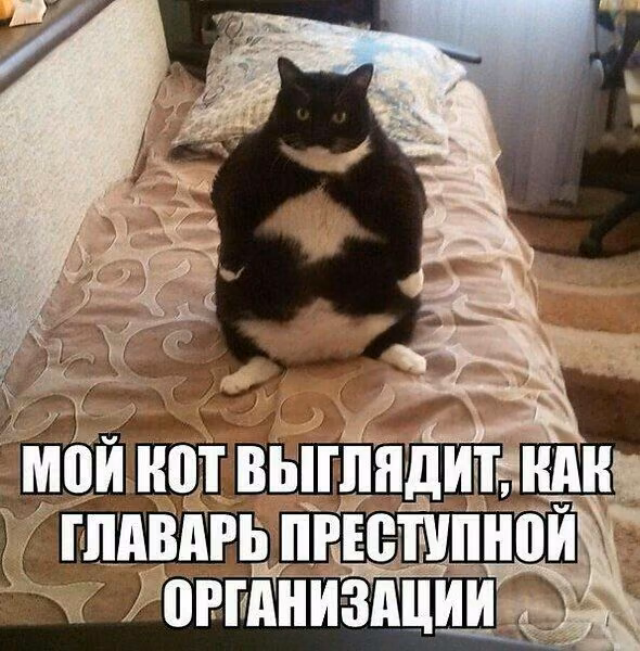 63b4a1a84471e4b49c8ab8db37a8de0a.jpg