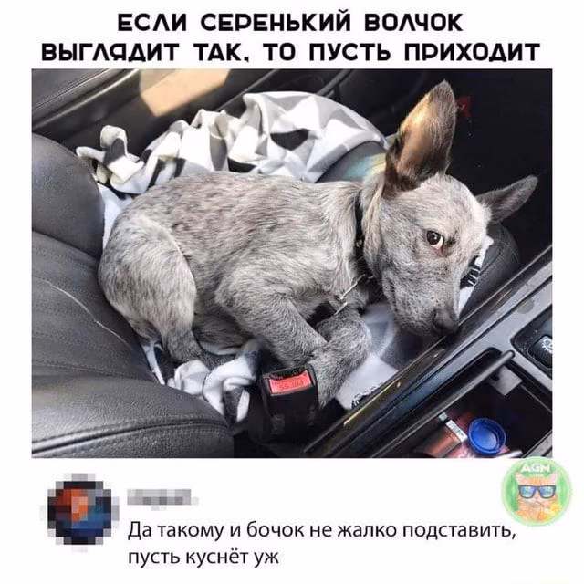 63cb121713a721690c9af2417205215e.avif