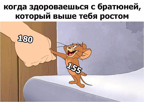 63dbfa7ffd5a3cea35519311fb28955b.avif