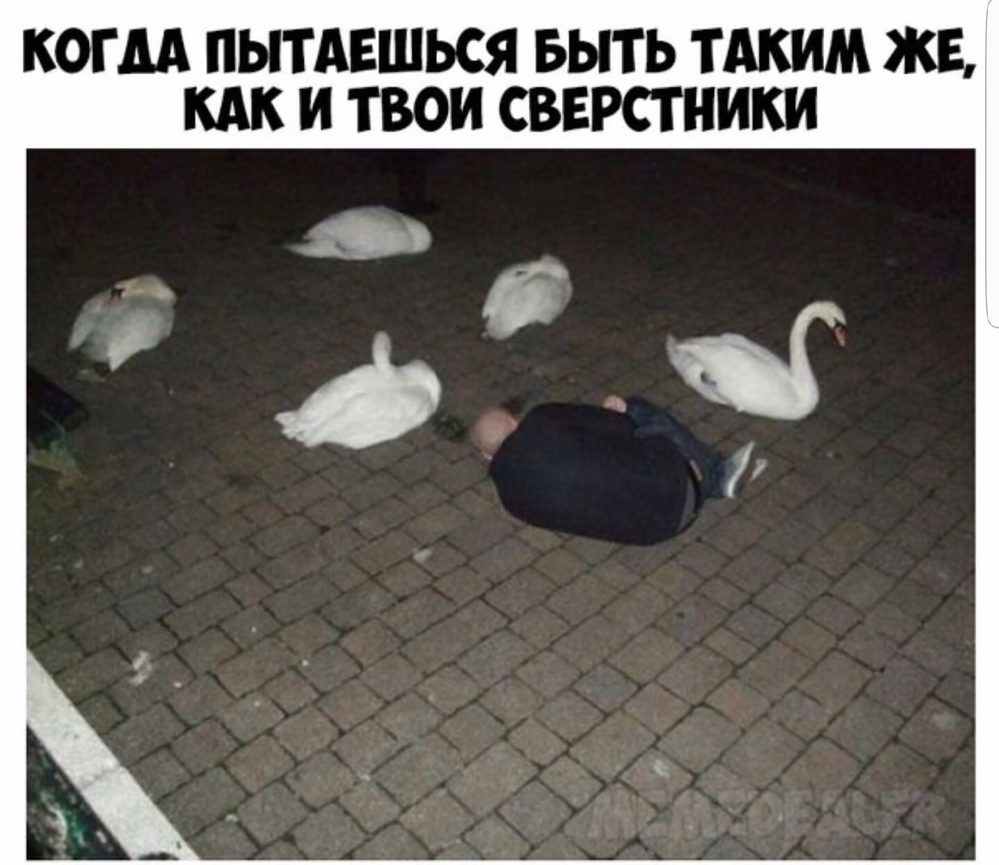 63f1f5ed6da9a6979e2e9eb235a3f99c.avif