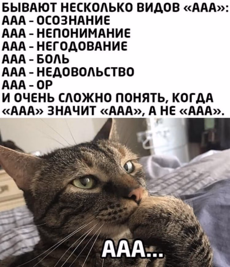 63f92a2f98c7a0cd424a921d4016c97c.jpg