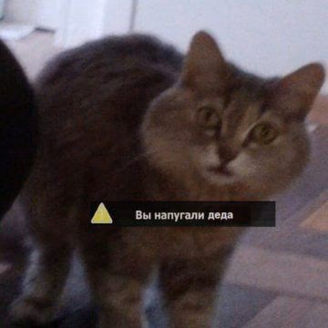 63fc938b971d7c7fbd55fb63432d45cf.jpg